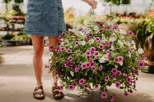 Keep Your Pots & Hanging Baskets Looking Fresh All Season