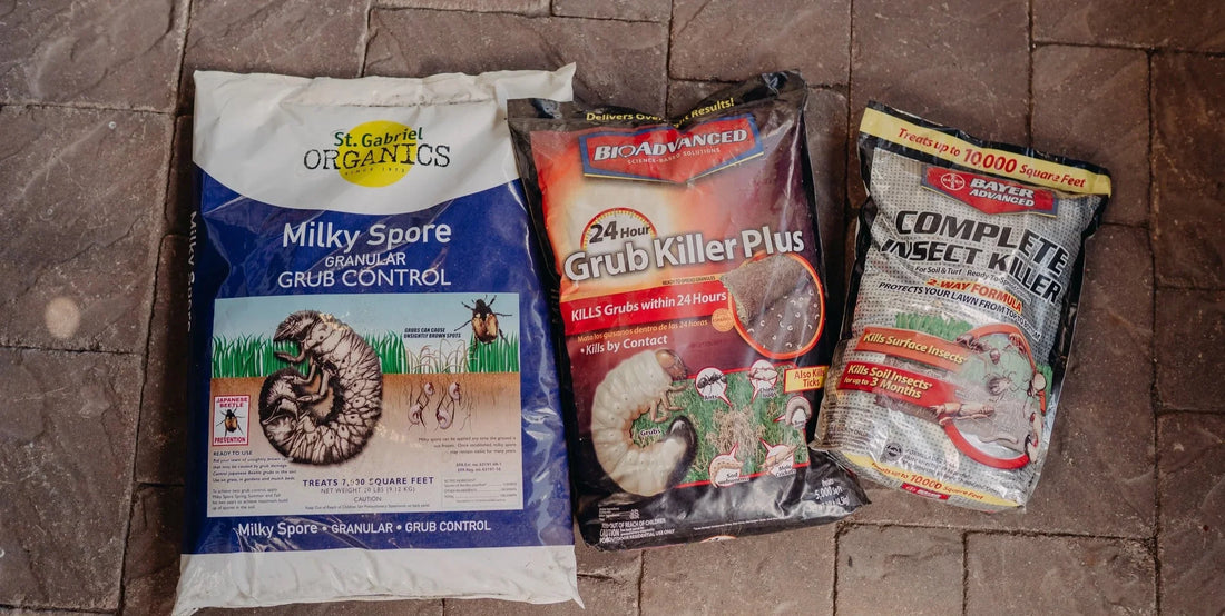 Stop Grubs Before They Stop Your Lawn