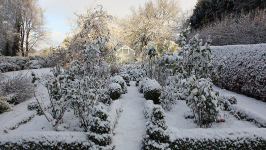 Putting Your Garden to Bed for the Winter