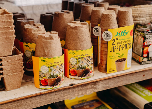 The Essential Guide to Seed Starting in Wisconsin