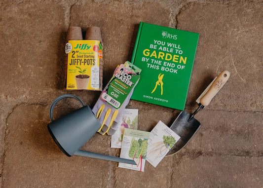 How to Effectively Plan Your Vegetable Garden