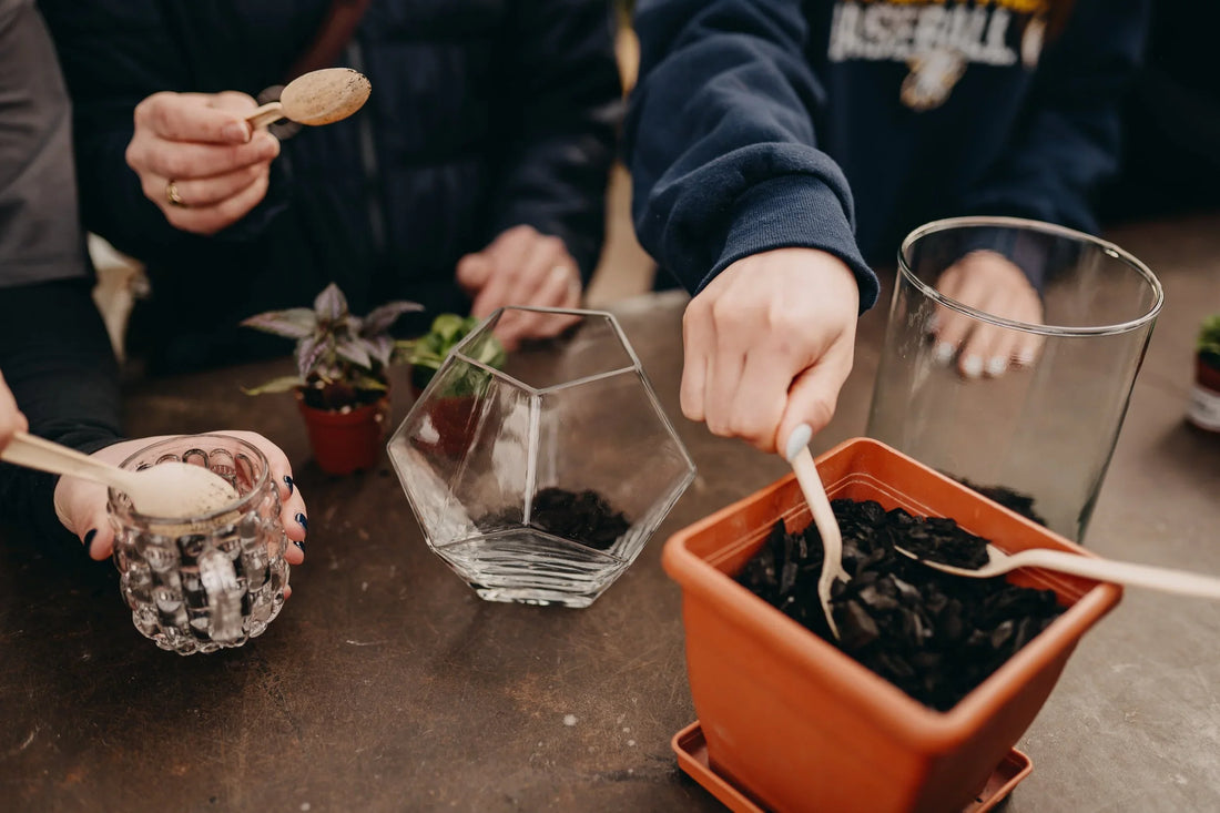Terrarium 101: How to Build Your Own Miniature Garden