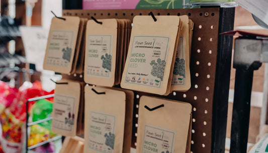 Rethinking Your Lawn