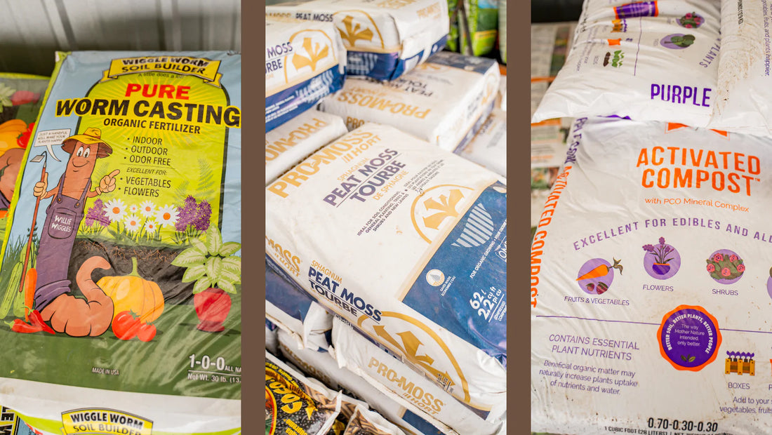 Boost Your Vegetable Garden!