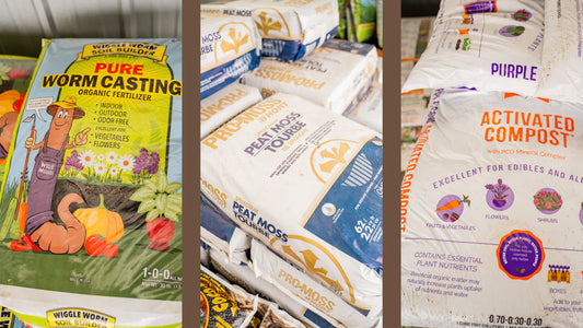 Boost Your Vegetable Garden!