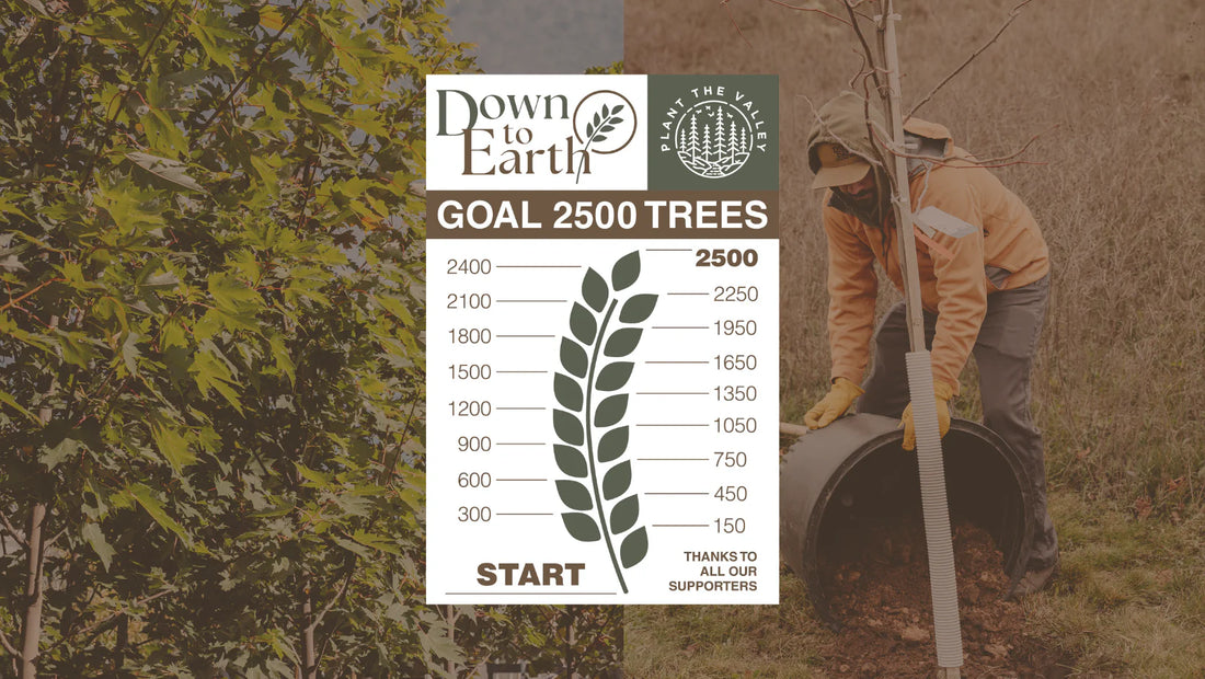 2025 Plant the Valley