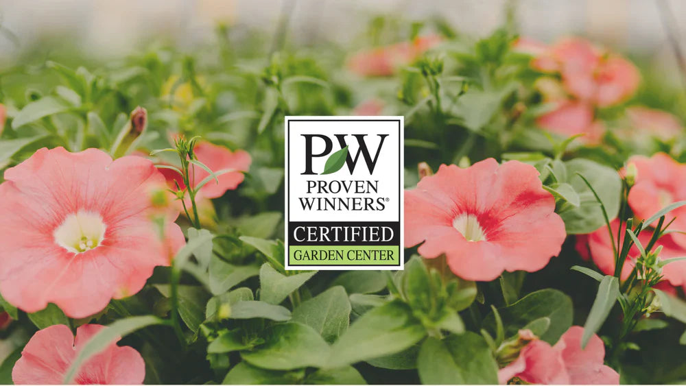 Proven Winner Certified