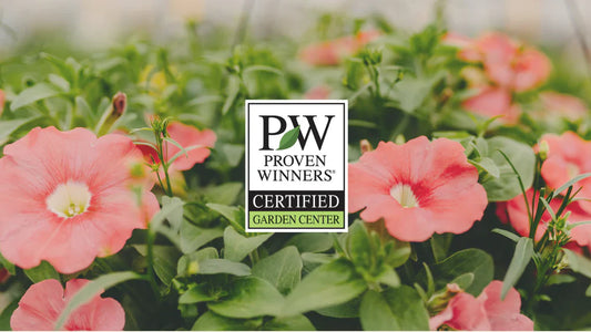 Proven Winner Certified