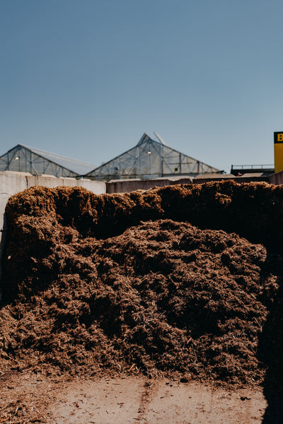 Natural Mulch