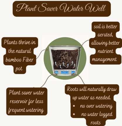 16" Sage Green Rectangular Self-Watering Bamboo Planter