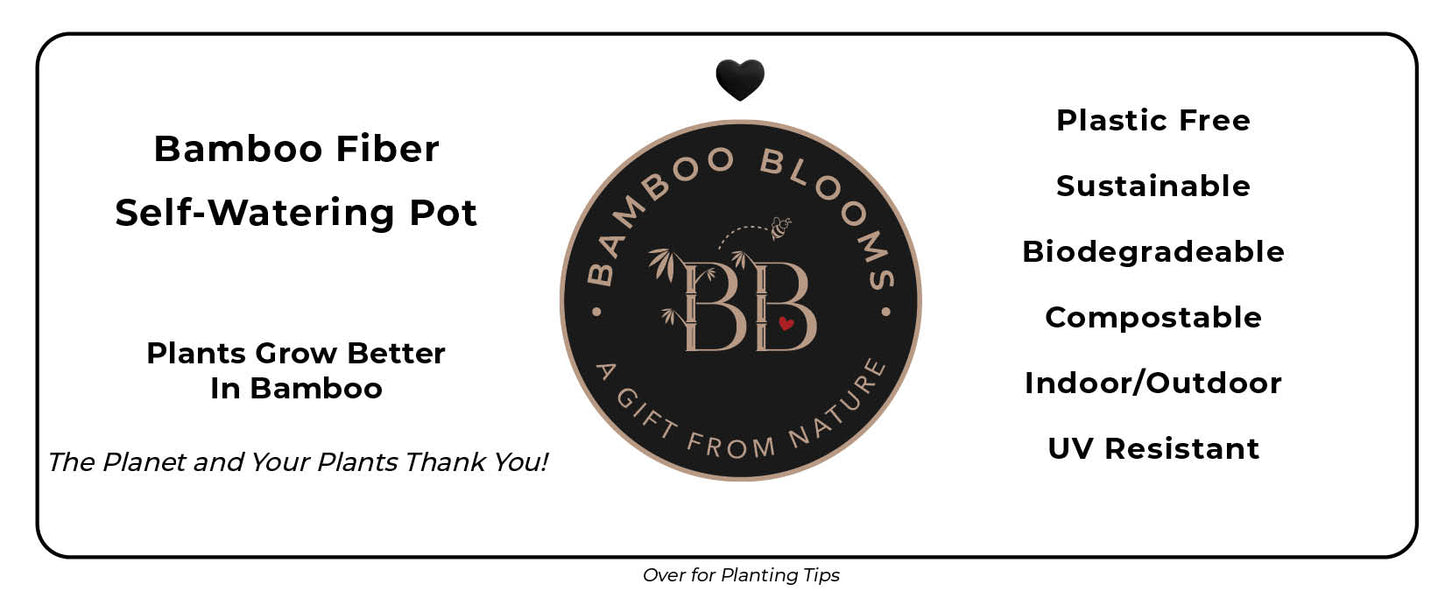 16" Sage Green Rectangular Self-Watering Bamboo Planter