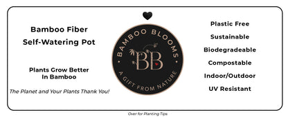 16" Sage Green Rectangular Self-Watering Bamboo Planter