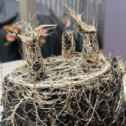 16" Sage Green Rectangular Self-Watering Bamboo Planter