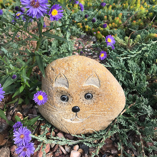 6" Boulder Cat