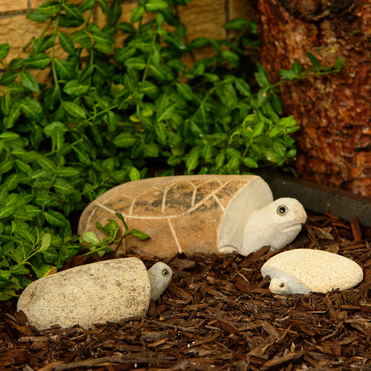 Family of Boulder Turtles 3 Pcs 4"6"10"