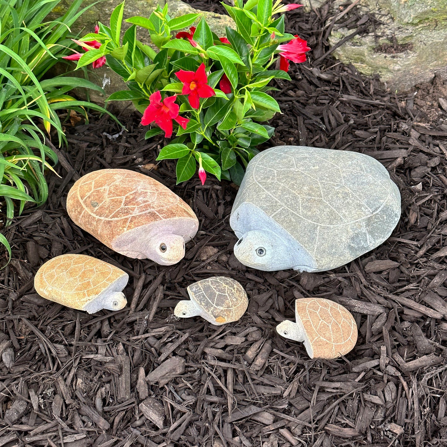 Family of Boulder Turtles 5 Pcs 4"x26"10"14"